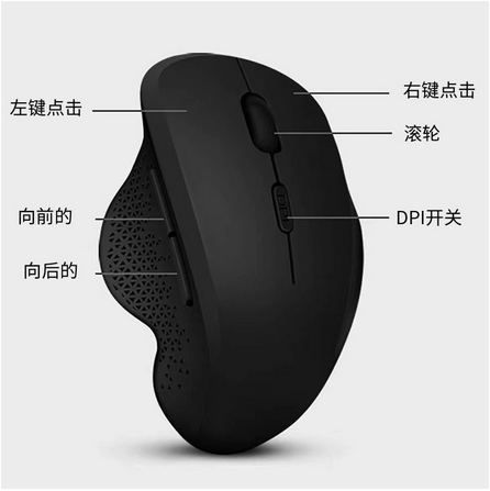 无图片