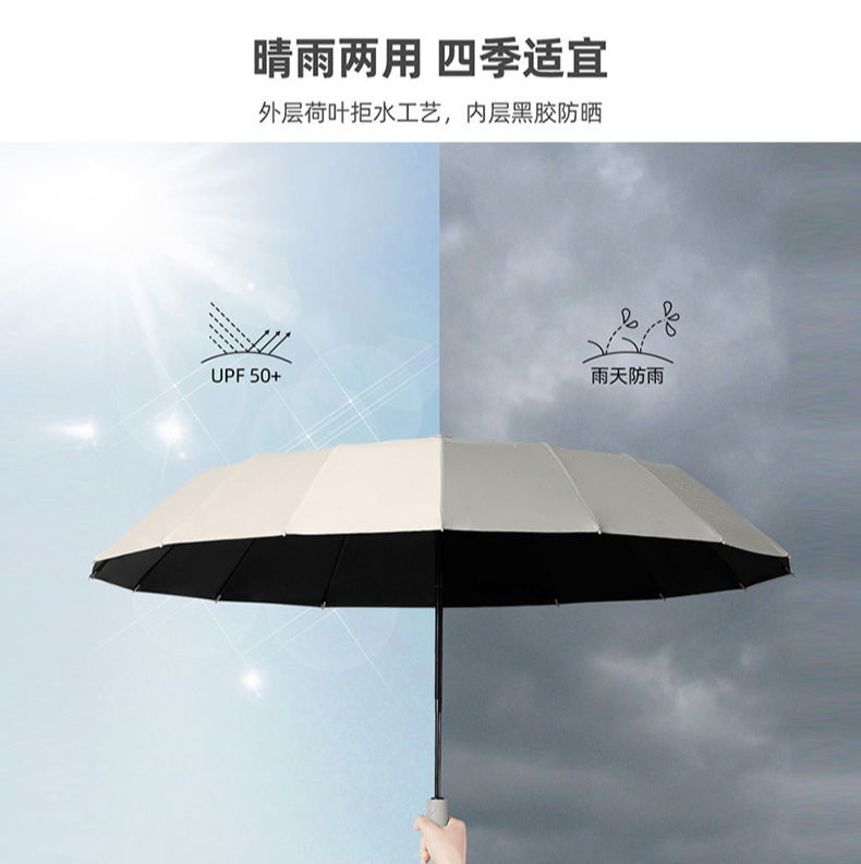 无图片