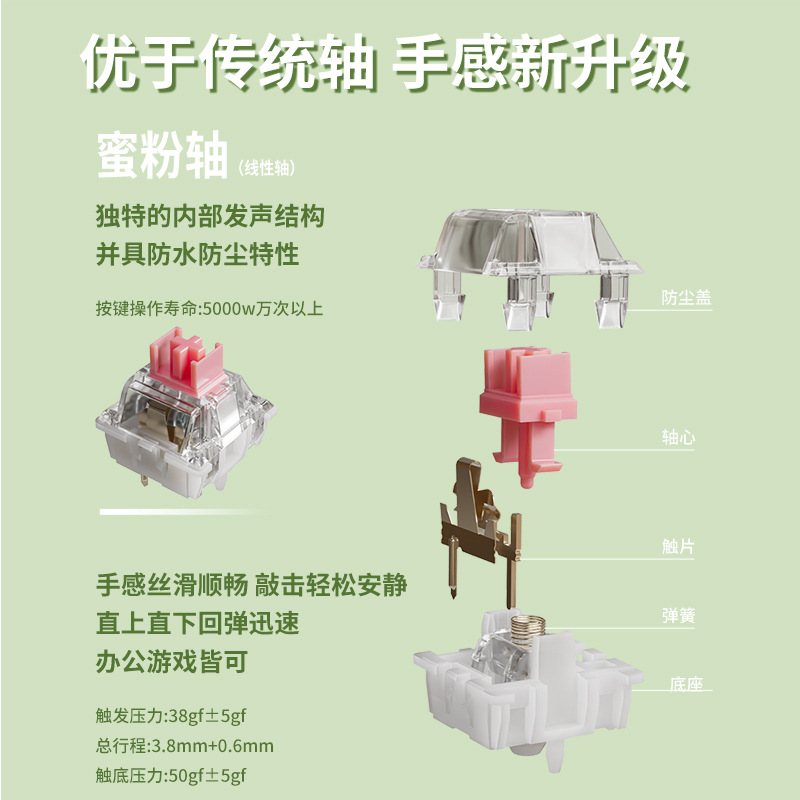 无图片